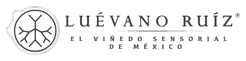 logo main